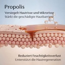 Wirkstoff Propolis