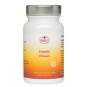 Propolis Kapsel